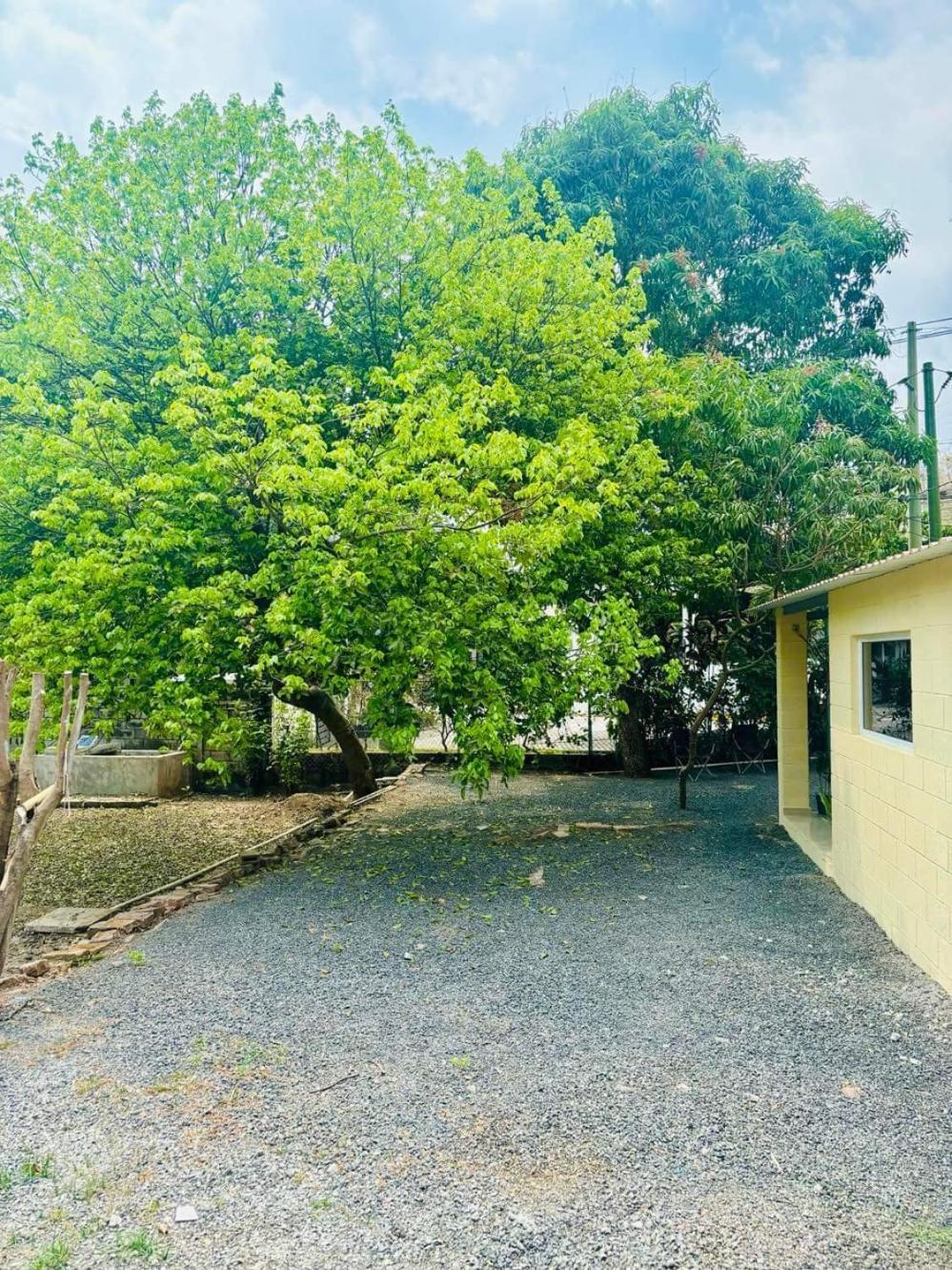 Hostal Camila'S Tamanique Zewnętrze zdjęcie